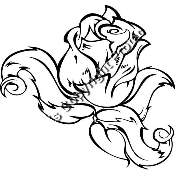 ES3rose04bw Thumbnail