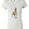 Women's Short Sleeve V-Neck T-Shirt Thumbnail