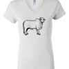 Women's Short Sleeve V-Neck T-Shirt Thumbnail